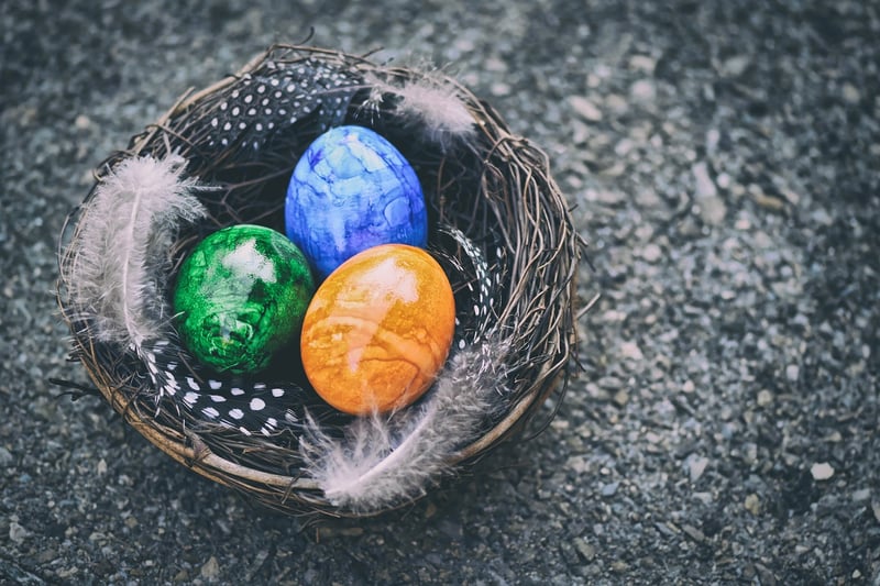 Hatching Dragon Egg